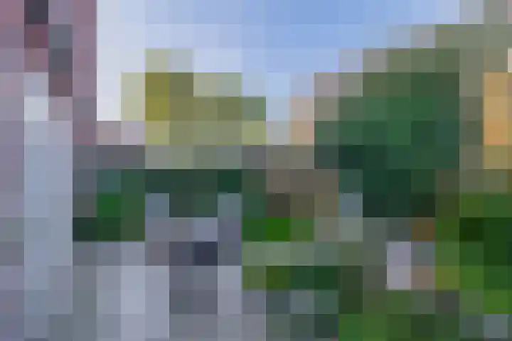 Fortuinlaan 96 Krommenie thumbnail 33