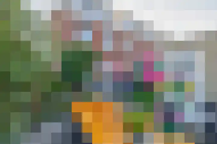 Fortuinlaan 96 Krommenie thumbnail 35