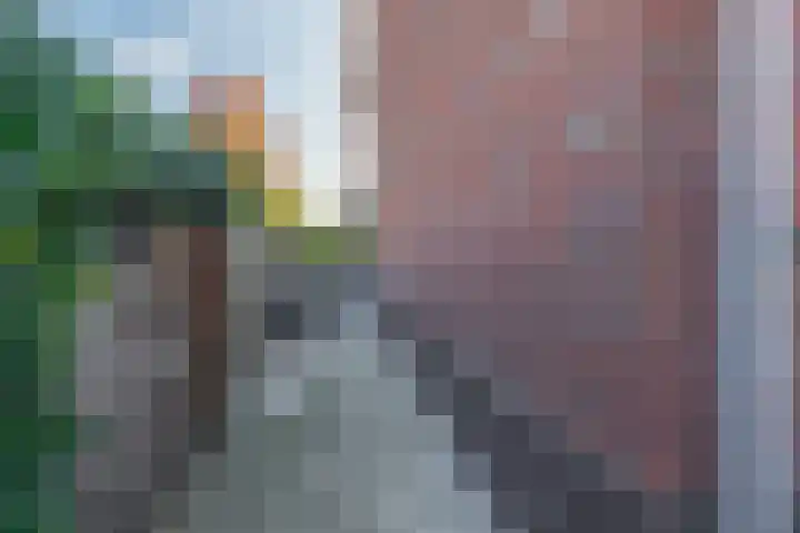 Fortuinlaan 96 Krommenie thumbnail 38