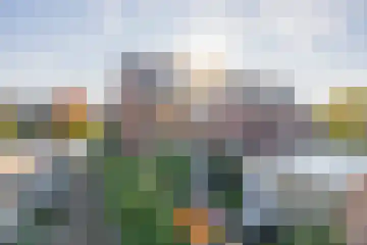 Fortuinlaan 96 Krommenie thumbnail 4