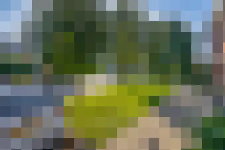 Fortuinlaan 96 Krommenie thumbnail 40