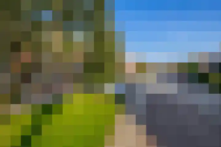 Fortuinlaan 96 Krommenie thumbnail 41