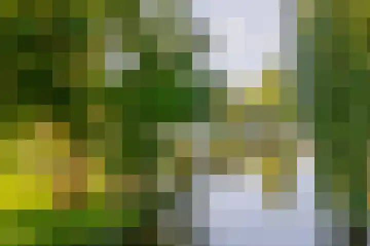 Fortuinlaan 96 Krommenie thumbnail 42