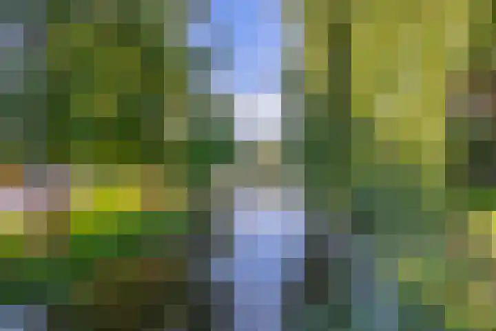 Fortuinlaan 96 Krommenie thumbnail 43