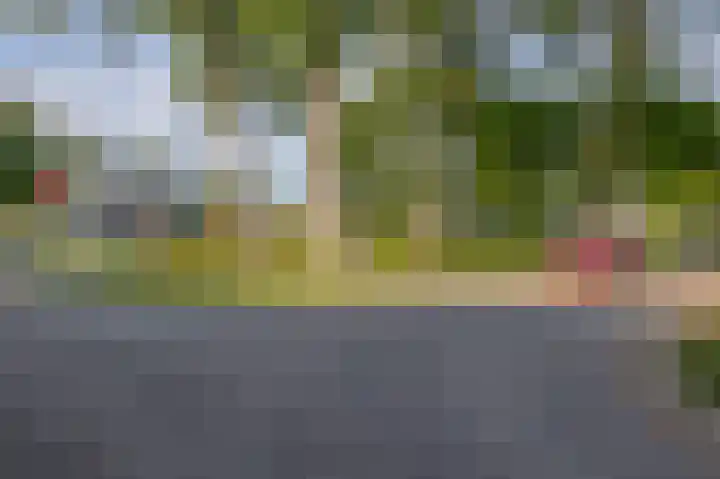 Fortuinlaan 96 Krommenie thumbnail 44