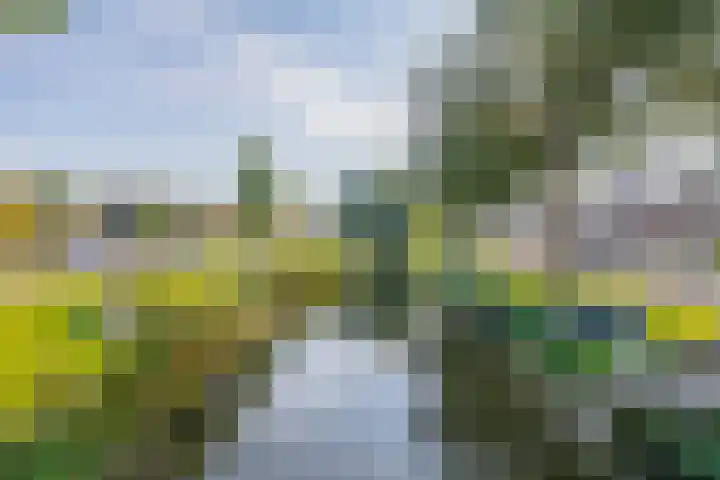 Fortuinlaan 96 Krommenie thumbnail 45