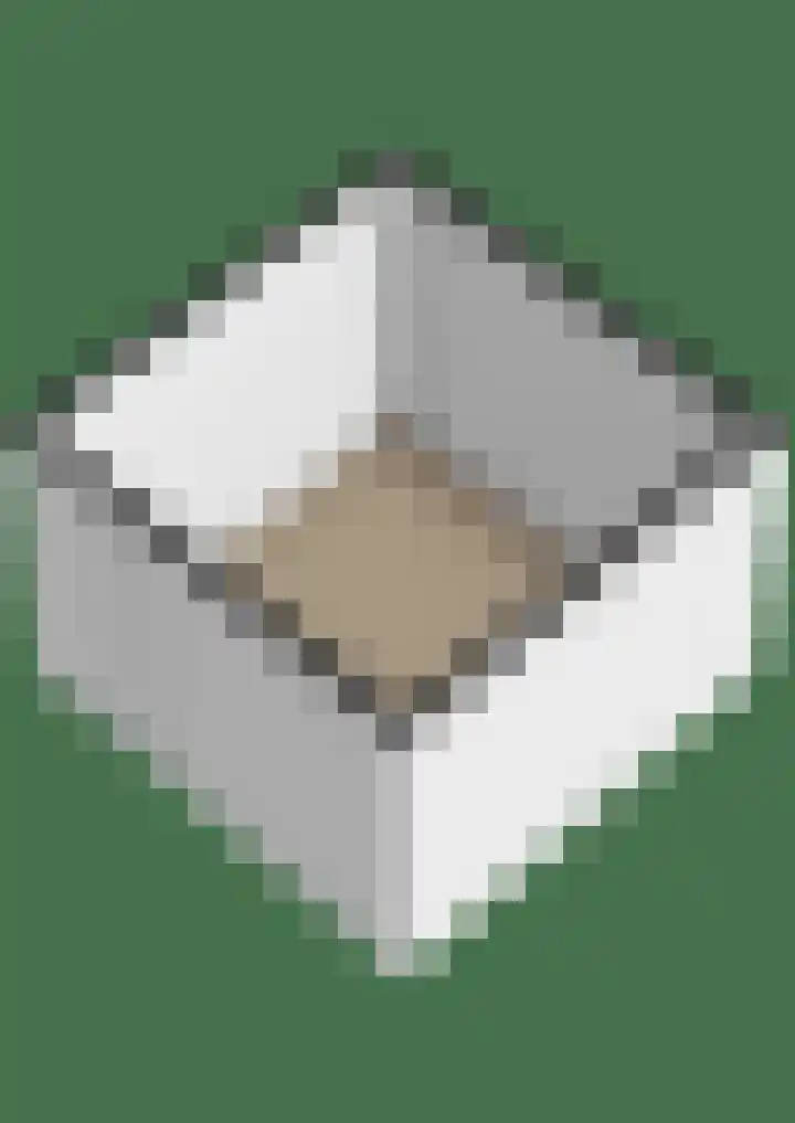 Fortuinlaan 96 Krommenie thumbnail 49