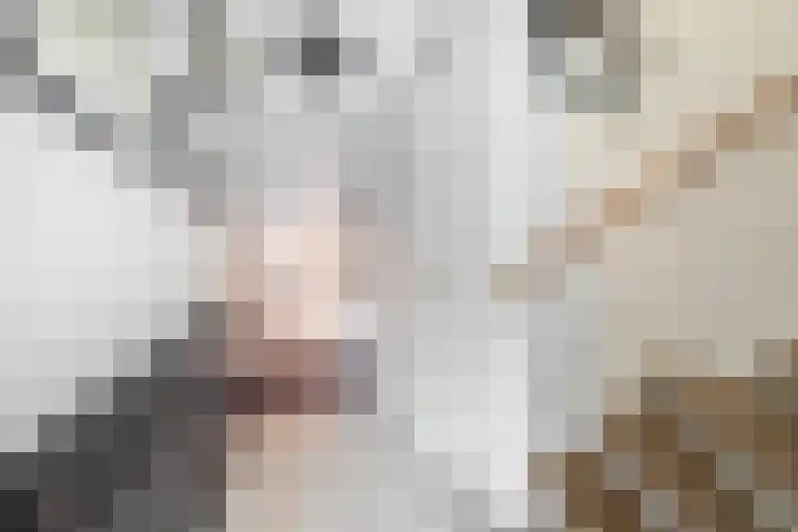 Fortuinlaan 96 Krommenie thumbnail 7