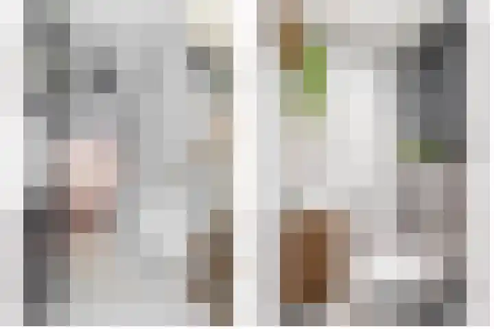 Fortuinlaan 96 Krommenie thumbnail 8