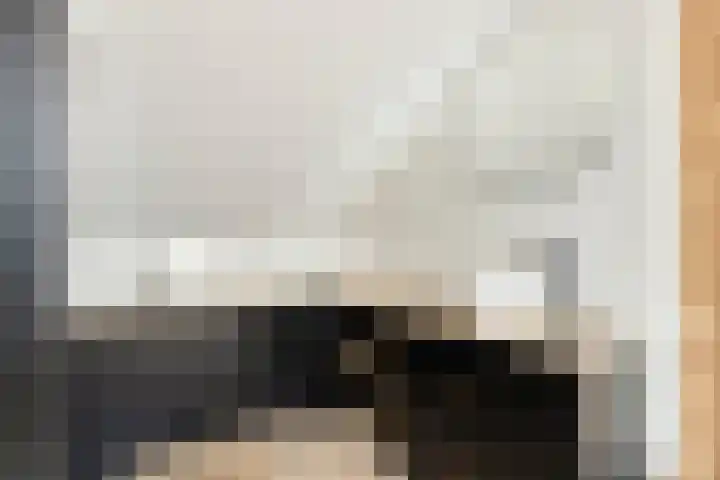 Fortuinstraat 1 a Roosendaal thumbnail 19