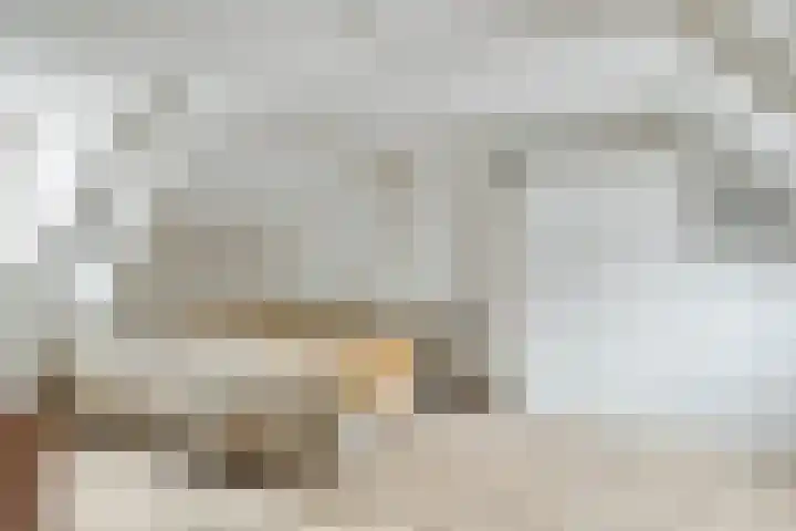 Fortuinstraat 1 a Roosendaal thumbnail 20