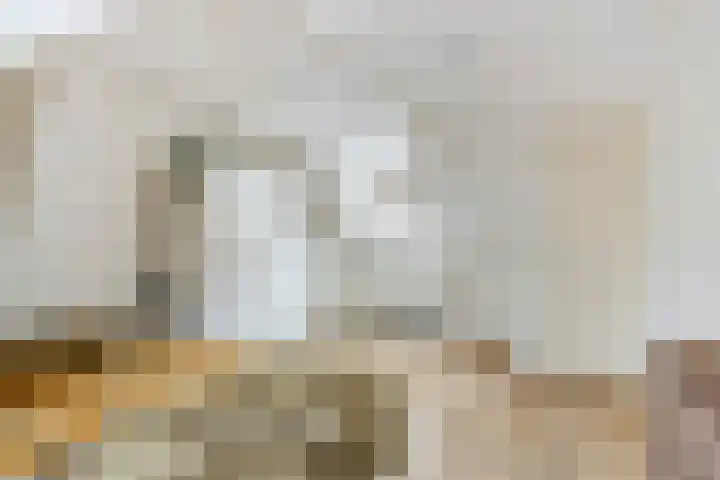 Fortuinstraat 1 a Roosendaal thumbnail 21