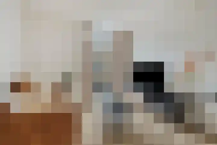 Fortuinstraat 1 a Roosendaal thumbnail 6