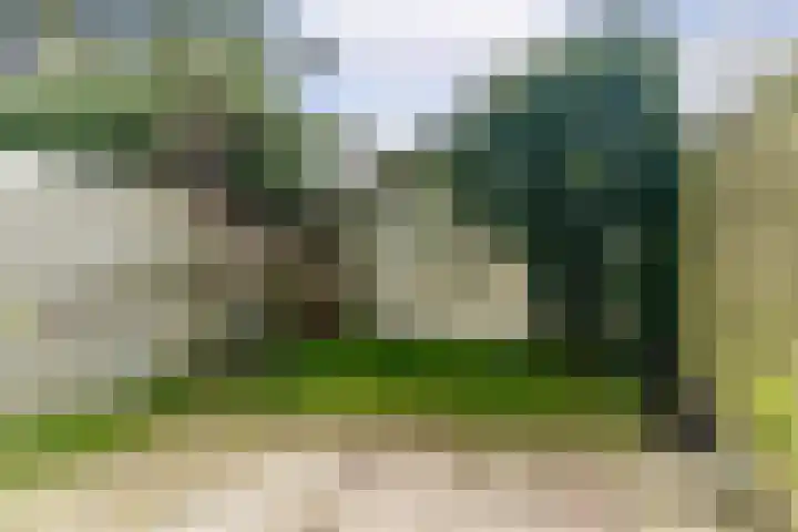Fortuinstraat 11 Delft thumbnail 14
