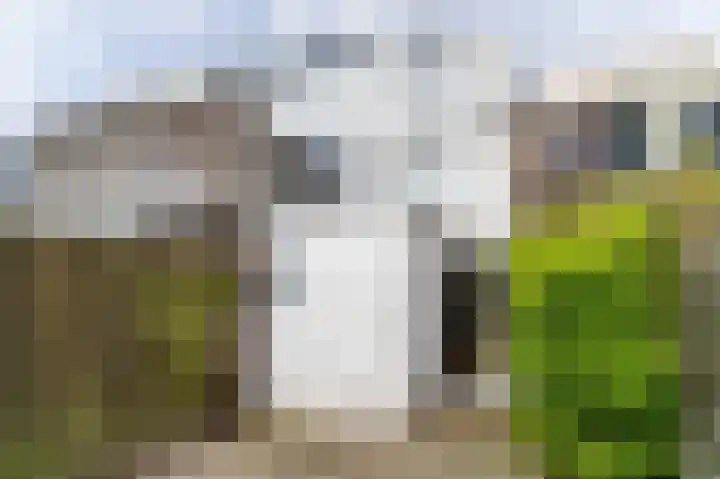 Fortuinstraat 11 Delft thumbnail 15