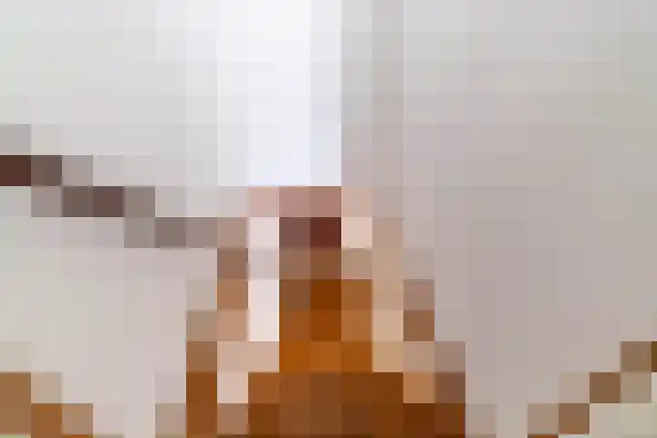 Fortuinstraat 11 Delft thumbnail 16