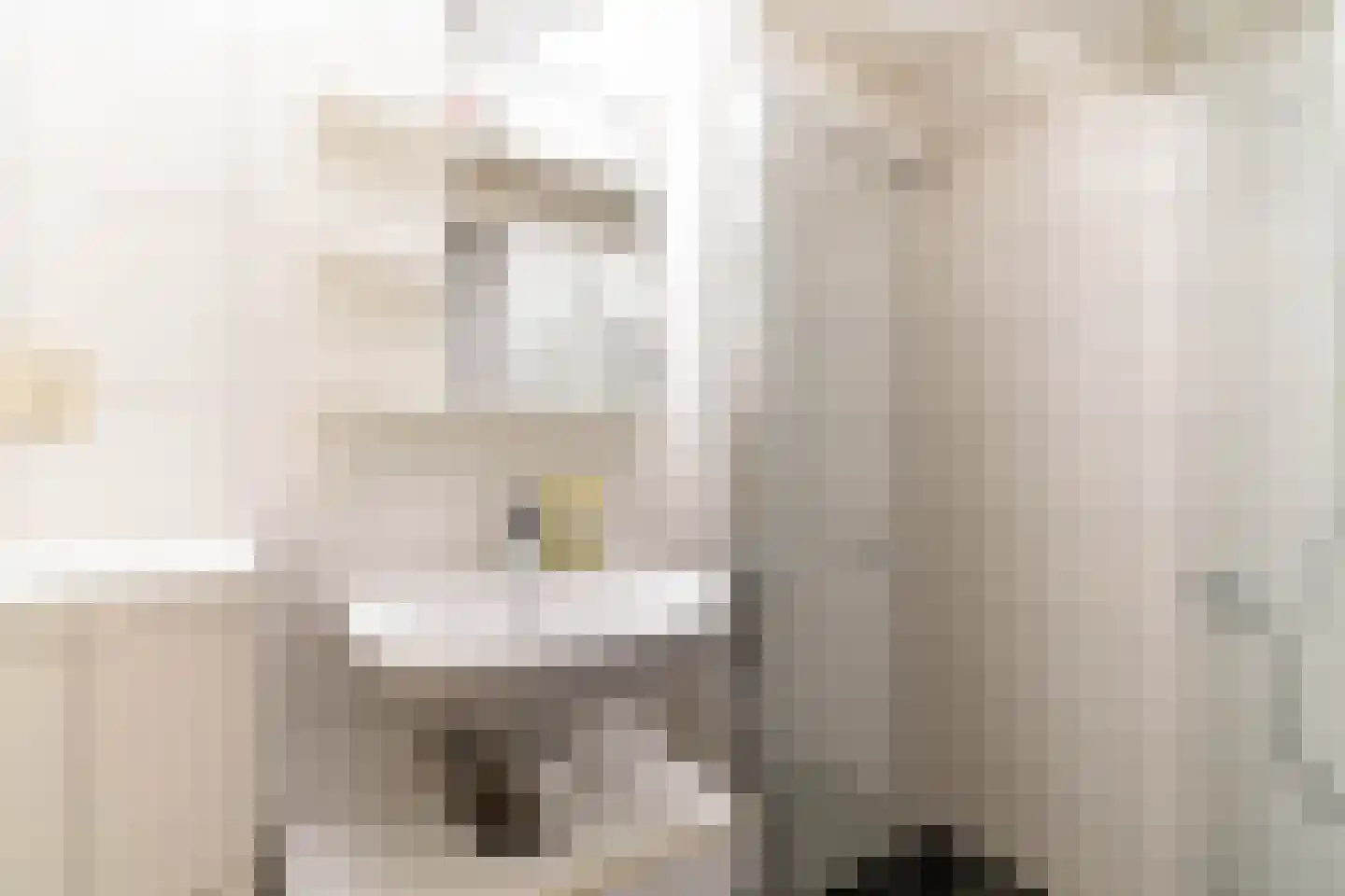 Fortuinstraat 11 Delft thumbnail 23