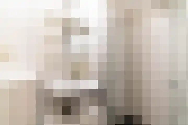 Fortuinstraat 11 Delft thumbnail 23