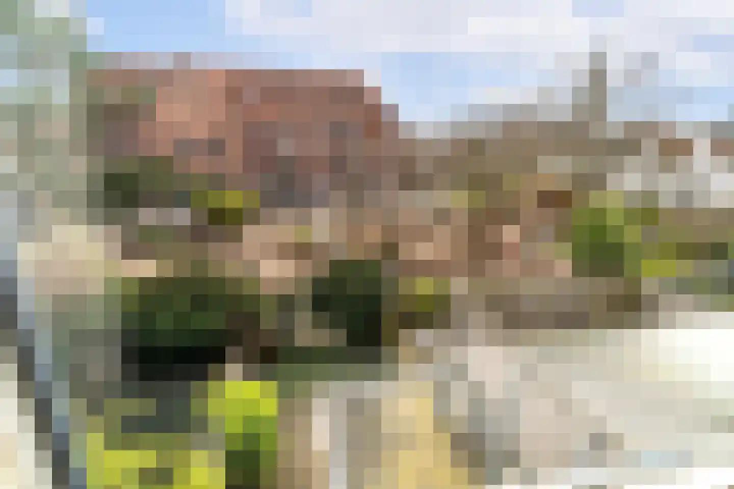 Fortuinstraat 11 Delft thumbnail 27