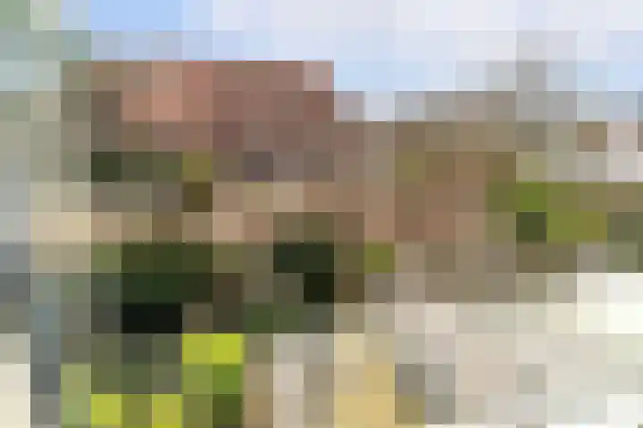 Fortuinstraat 11 Delft thumbnail 27