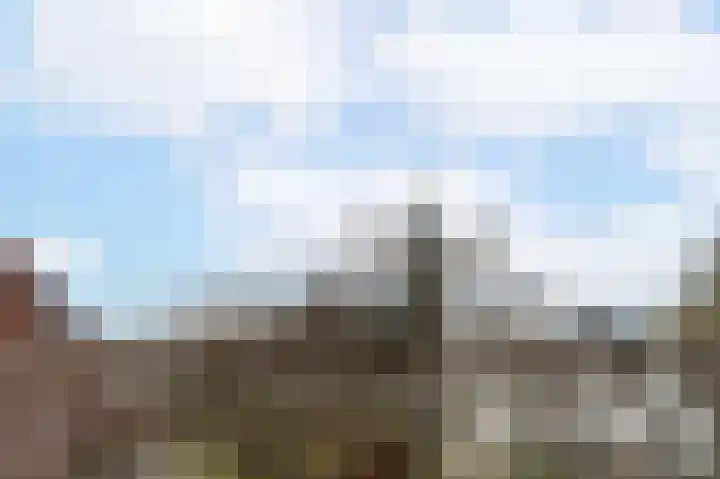 Fortuinstraat 11 Delft thumbnail 28
