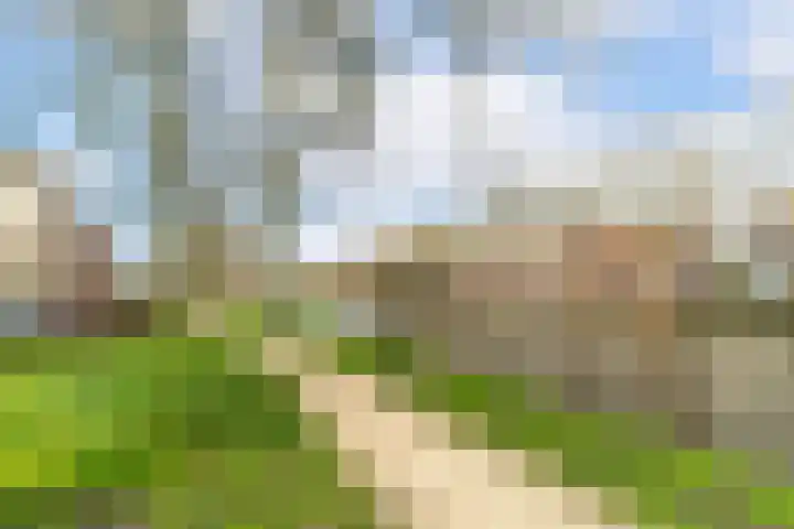 Fortuinstraat 11 Delft thumbnail 31