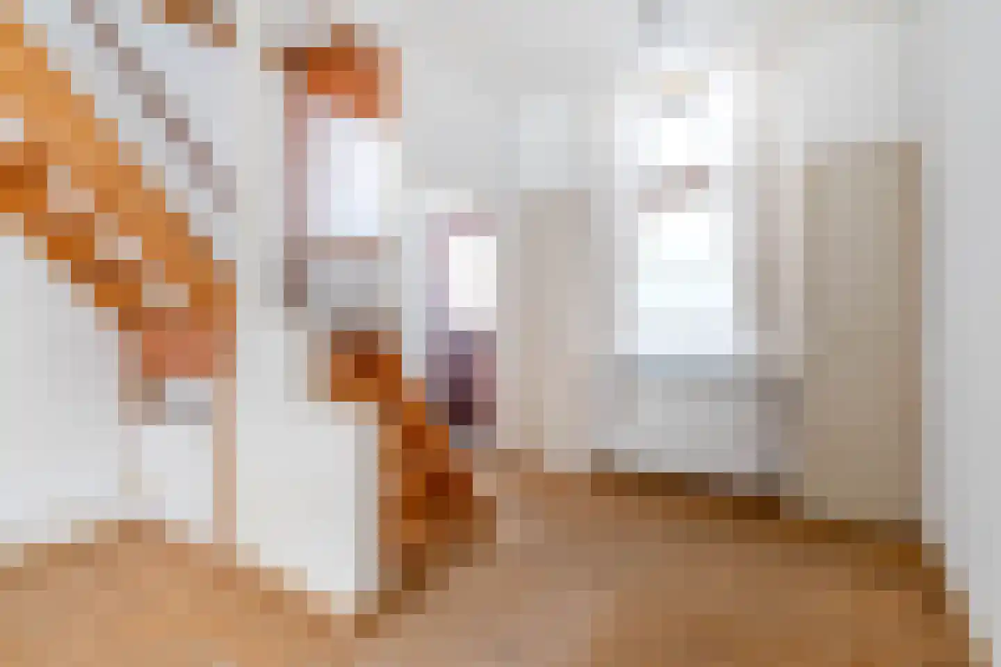 Fortuinstraat 11 Delft thumbnail 9