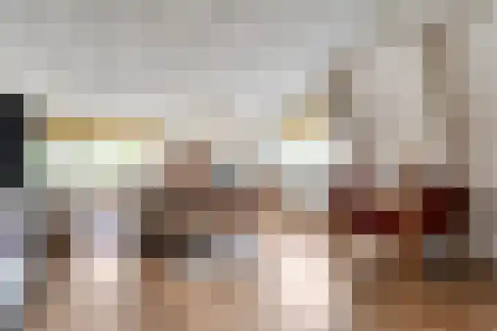Fortuinstraat 15 Hardenberg thumbnail 17