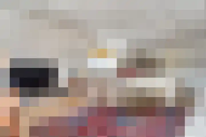 Fortuinstraat 15 Hardenberg thumbnail 19