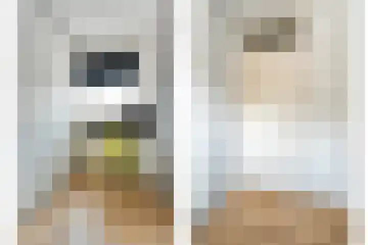 Fortuinstraat 15 Hardenberg thumbnail 25