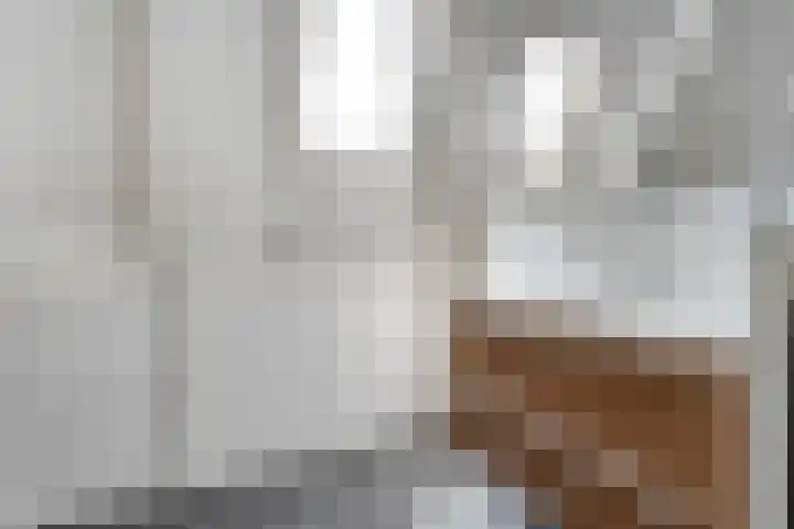 Fortuinstraat 15 Hardenberg thumbnail 29