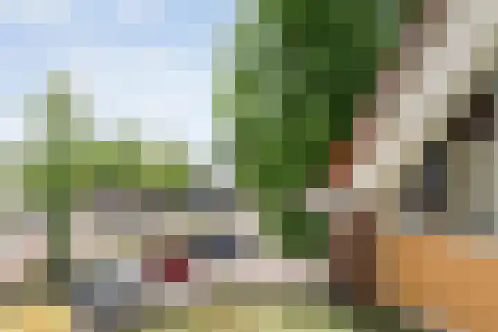Fortuinstraat 15 Hardenberg thumbnail 32