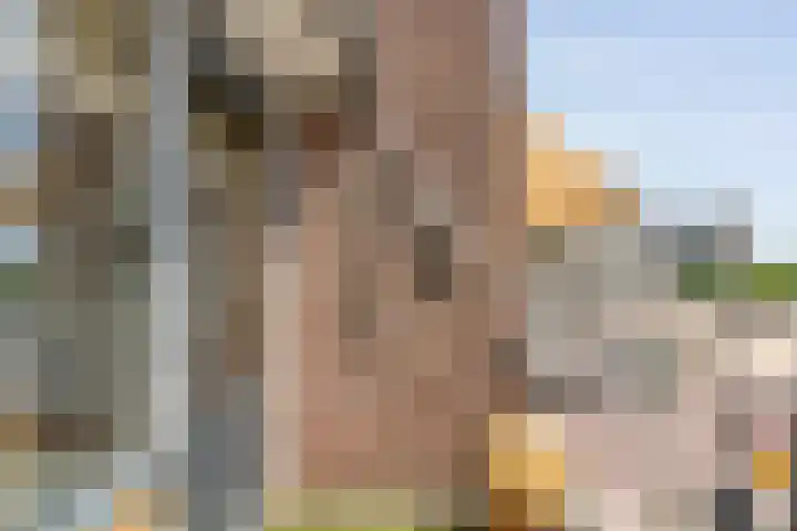Fortuinstraat 15 Hardenberg thumbnail 33
