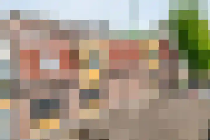 Fortuinstraat 15 Hardenberg thumbnail 5