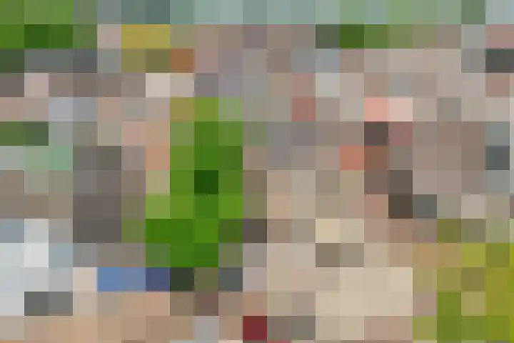 Fortuinstraat 15 Hardenberg thumbnail 7