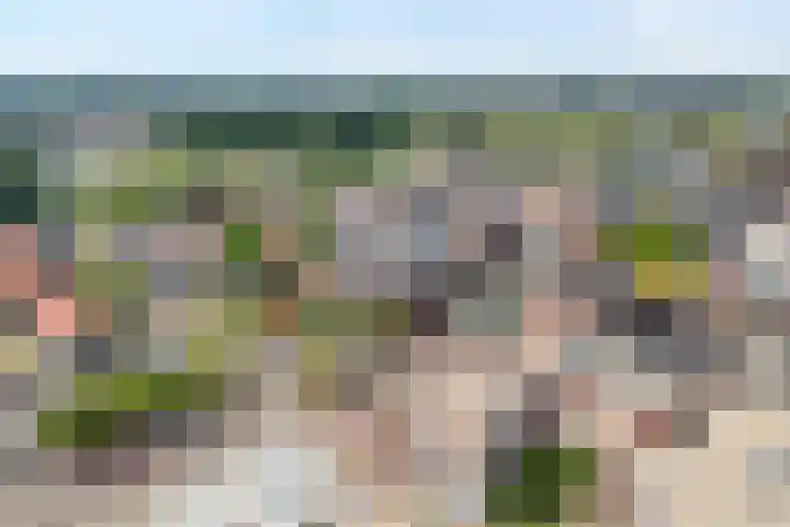 Fortuinstraat 15 Hardenberg thumbnail 9