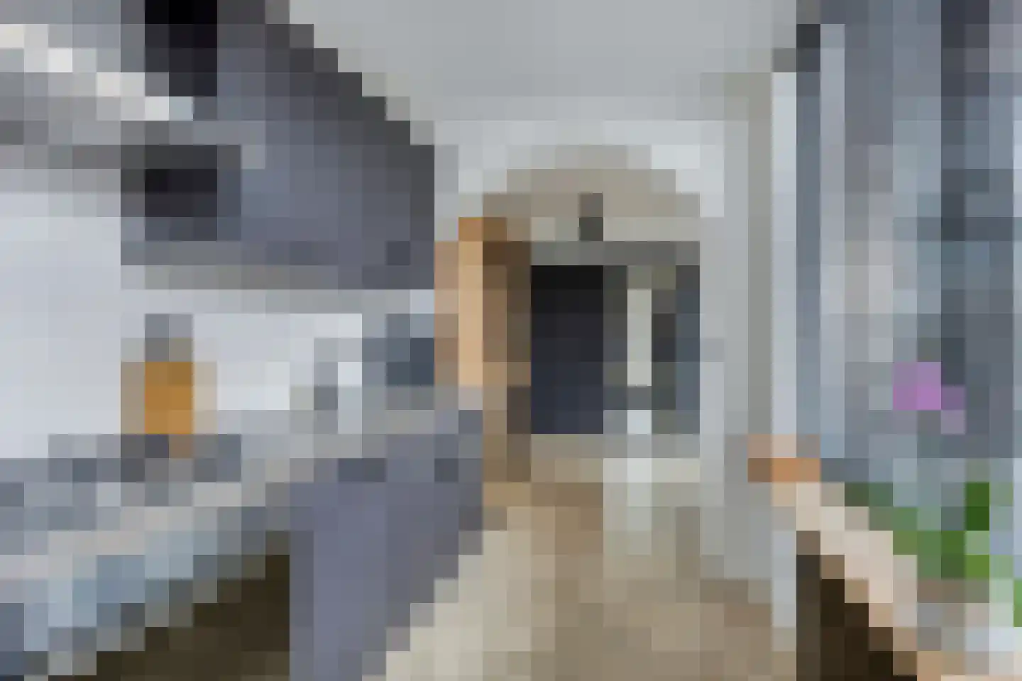 Fortuinstraat 18 Jisp thumbnail 11