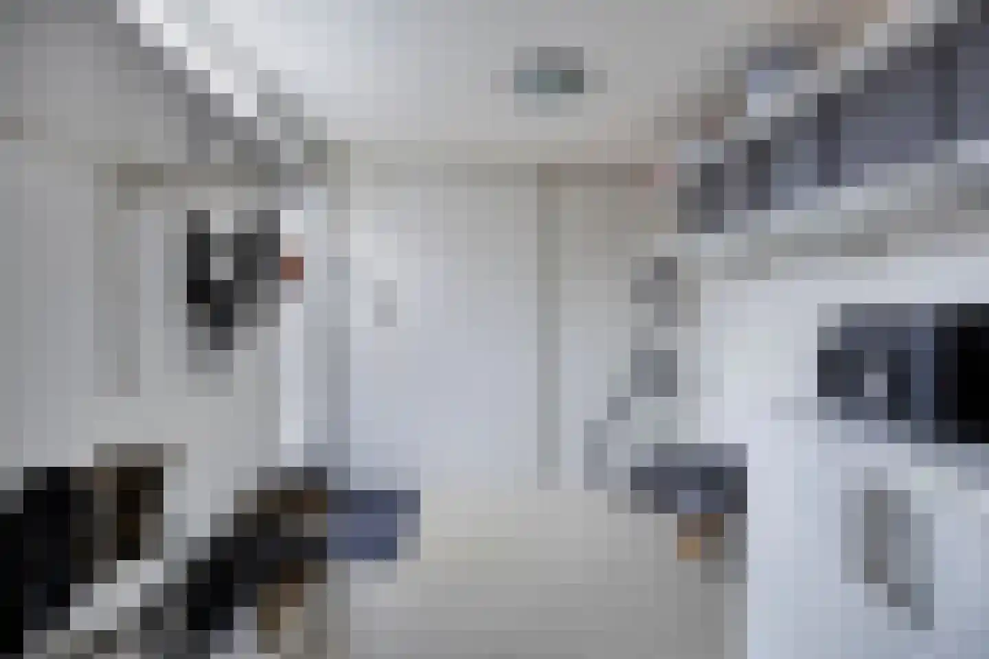 Fortuinstraat 18 Jisp thumbnail 29