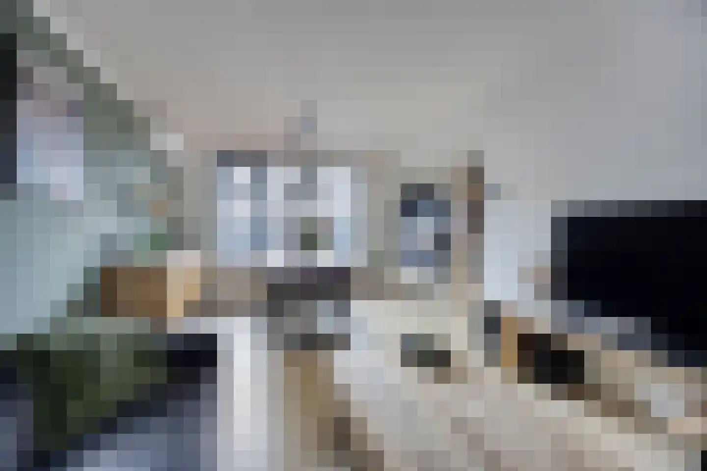 Fortuinstraat 18 Jisp thumbnail 8
