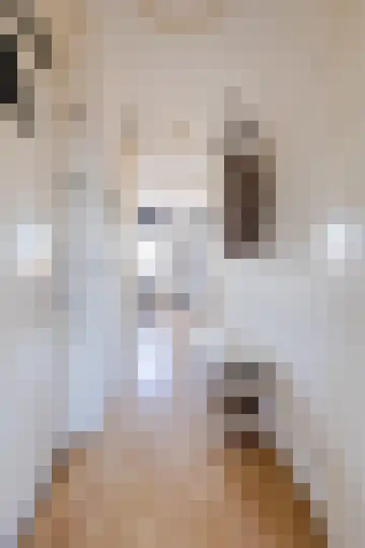 Fortuinstraat 2 d Roosendaal thumbnail 21