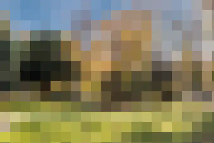 Fortuinstraat 2 d Roosendaal thumbnail 31