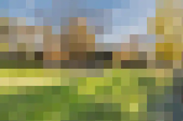 Fortuinstraat 2 d Roosendaal thumbnail 33