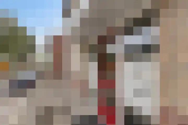 Fortuinstraat 2 p Roosendaal thumbnail 19