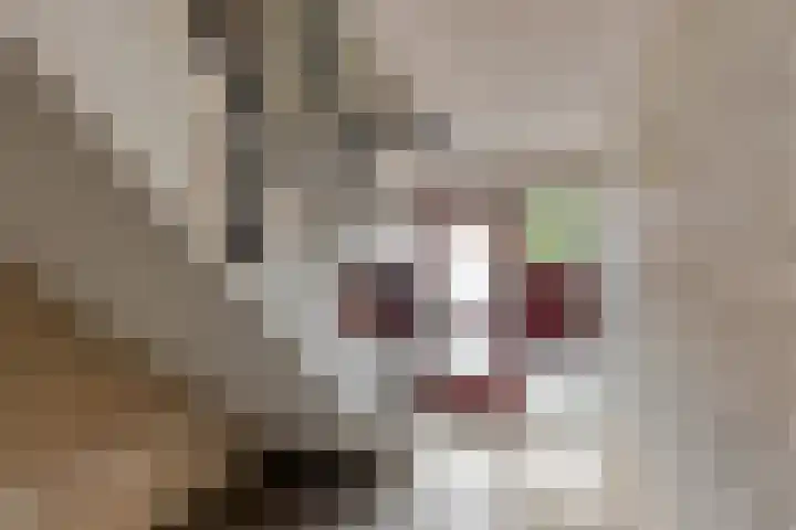 Fortuinstraat 2 p Roosendaal thumbnail 20
