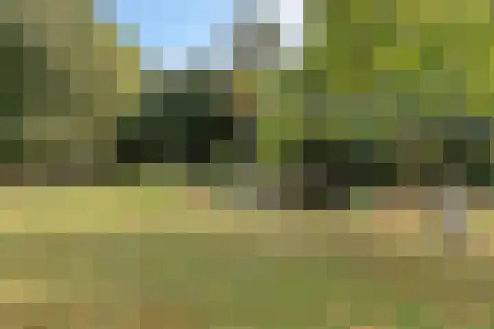Fortuinstraat 2 p Roosendaal thumbnail 24