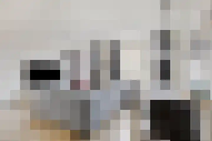 Fortuinstraat 2 p Roosendaal thumbnail 6