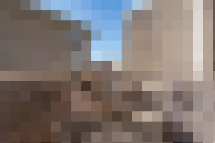 Fortuinstraat 2 t Roosendaal thumbnail 10