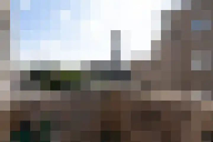 Fortuinstraat 2 t Roosendaal thumbnail 11