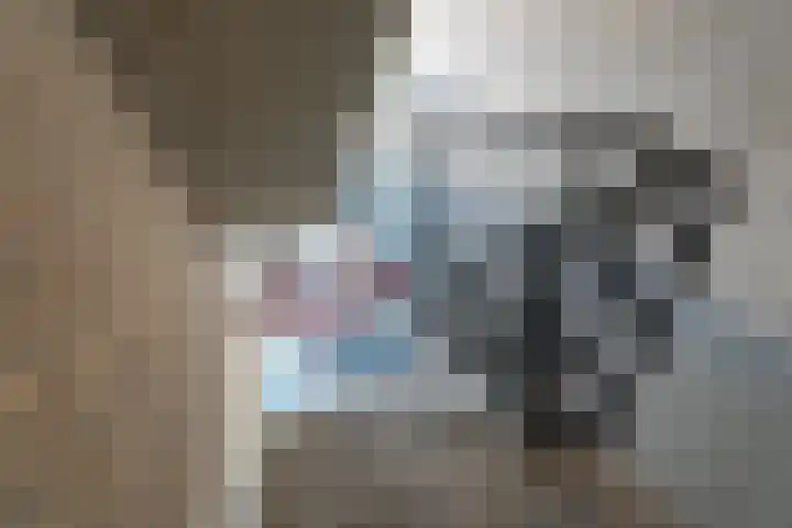 Fortuinstraat 2 t Roosendaal thumbnail 21