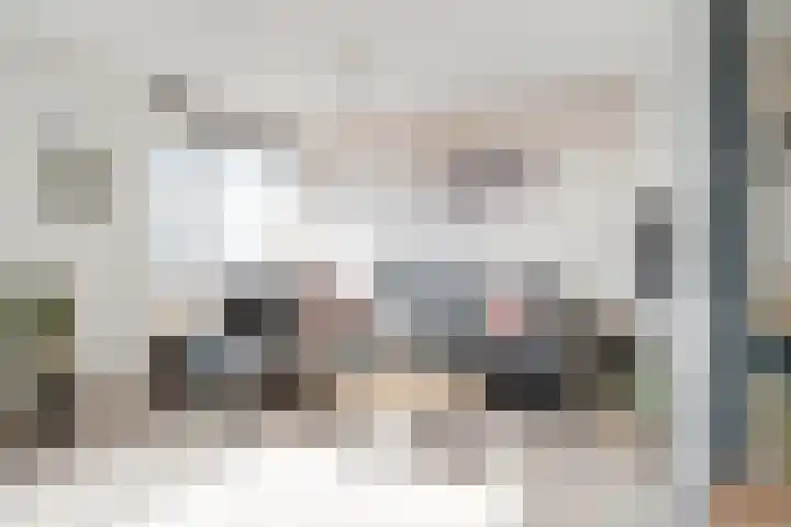 Fortuinstraat 2 t Roosendaal thumbnail 4